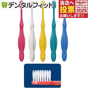 y|Cg5{ 11/1 0:00-23:59zCi 800 +Eh / Mӂ / 50{yCifBJ uVz