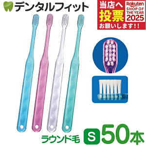 y|Cg5{ 11/1 0:00-23:59zCi AVXg / S炩 50{yCifBJ uVz