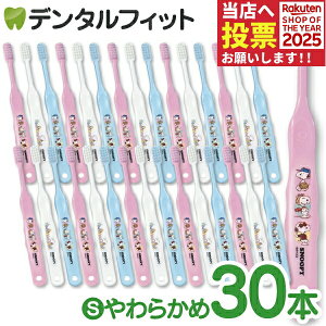 Ci 503 Xk[s[ 3FA\[g S炩 30{yCifBJ uVzi[2_܂Łjy[֑Iőz