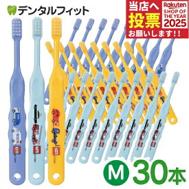 Ci トミカ502 3色アソート Mふつう 30本入【Ciメディカル 歯ブラシ】（メール便2点まで）【メール便選択で送料無料】