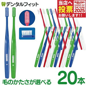 y|Cg5{ 11/1 0:00-23:59zZ XNGA uV^20{iMӂ/S炩߁j yCifBJuV Ȑꔄi Recera SQUAREy[֑Iőz