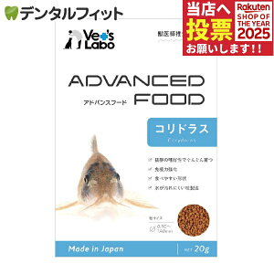 y|Cg5{ 11/14 10:00-11/16 23:59zAhoXt[h RhX 20g WpybgR~jP[VY lH {