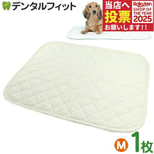 y|Cg5{ 11/1 0:00-23:59zxbhɂgL}bg MTCY(50×60cm) 1 HappyDays nbs[fCY ybgV[c L}bg ېOK 􂦂 R ybg}bg ybgpxbh ybg