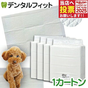 y|Cg5{ 11/1 0:00-23:59zCiƖpybgV[c X^ 1J[g(4pbN) M[(1200) Ch(600) X[p[Ch(300) yz