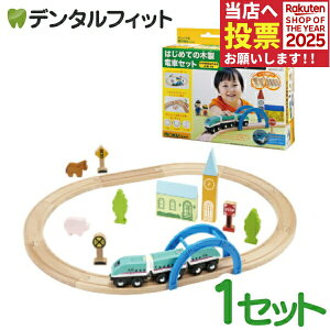 y|Cg5{ 11/1 0:00-23:59zmoku TRAIN (NgC) ͂߂Ă̖ؐdԃZbg y||fb^ ؂̂ mߋ d S z yz