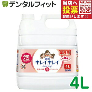 y|Cg5{ 11/1 0:00-23:59zLCLC pAnh\[v [LION] t[c~bNX̍ 4Ll