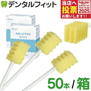 oPAX|W Ci Z X|WuV EF[u 2 / 3(50{/)  oPA yz