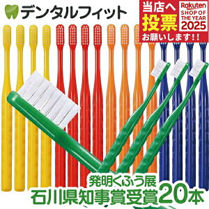 y|Cg5{ 11/1 0:00-23:59zyObvir uV / v20{Zbgi[2_܂ŁjyCifBJ uVzy[֑Iőz