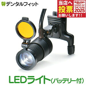 y|Cg5{ 11/1 0:00-23:59zȗp[y LEDCg ubN(obe[tj[y͕ʔł yz