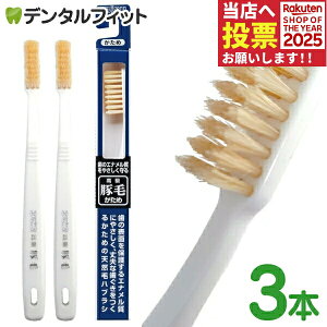 GrX ؖюuV  3{Zbg ̃Gi₳鍂ؖюuV EBiSU B-T35 VRт̃nuV R^Jbg̐[WAтŎCɗDꂽʂ𔭊 zCg F(