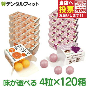 LVg[K Ȑp g[jO t[ZK(4×120) O[v/IW DK LVg[z Ԃǂ ܂Ƃߔyz