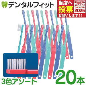 y|Cg5{ 11/1 0:00-23:59zuV Ci 202 ^te[p[v~A Mӂ 20{ 3FA\[gFO[Au[AbhyCifBJ uVzy[֑Iőz