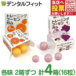 y|Cg5{ 11/1 0:00-23:59zLVg[K Ȑp g[jO t[ZK(4×4) O[v & IW e2 DK LVg[z Ԃǂ y[֑I