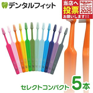 yGg[ƓX3_wP10{(11/20 20:00-11/27 1:59)zTepe ey uV ZNgRpNg^GNXg\tg 5{y26393zy[֑Iőz