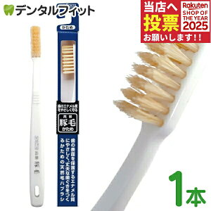 yGg[ƓX3_wP10{(11/20 20:00-11/27 1:59)zGrX ؖюuV  1{ ̃Gi₳鍂ؖюuV EBiSU B-T35 VRт̃nuV R^Jbg̐[W