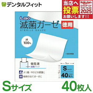 y|Cg5{ 11/1 0:00-23:59ziÊ G ŋۃK[[ STCY p 40 yXE₯ǂ̕یɁz ăK[[ 12܂ qpi ÃK[[