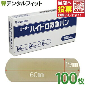 y|Cg5{ 11/1 0:00-23:59z[_[nCh~}o(Ȍ) MTCY 60×19mm pi100j1 iÊ yJnp ΂񂻂 p ؂菝 菝   Cz