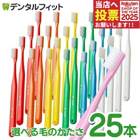 歯ブラシ タフト24 25本セット オーラルケア 歯科医院用ハブラシ／tuft24（メール便1点まで）【メール便選択で送料無料】