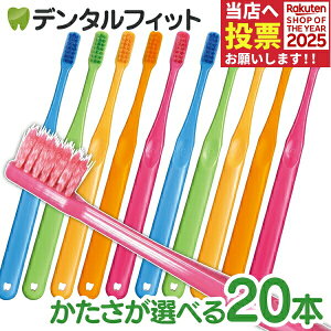 Ci PRO PLUS XpC uV ^ Mӂ or S炩 20{i[1_܂Łj vvX XpCyCifBJ uVzy[֑Iőz