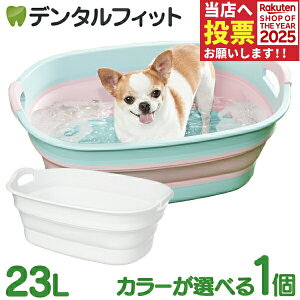 \tg^u Ch 1 ɐ e23L ܂肽ݎybgoX ̂C RpNgɎ[\ ֗Ȑt VтJSEpoXPbgEꓙɂ