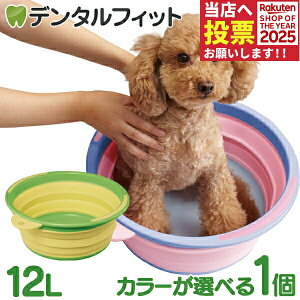 \tg^u 1 ɐ e12L ܂肽ݎybgoX ̂C RpNgɎ[\  hЗpiƂ 㗚EXj[J[􂢓ɂgp\