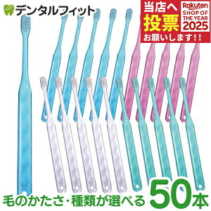 y|Cg5{ 11/1 0:00-23:59zCi AVXg tbg/ז+tbg Mӂ/S炩/SS炩 50{