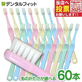 歯ブラシ 子供 Ci shuwa shuwa (シュワシュワ)60本セット(Mふつう/Sやわらかめ)【乳幼児 乳歯向け コンパクトヘッド 】