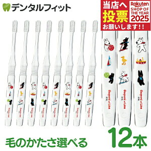 yGg[ƓX3_wP10{(11/20 20:00-11/27 1:59)zCiG[g TƃKXp[ 12{ I[e[p[ Mӂ/S炩 TKX LN^[