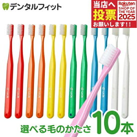 歯ブラシ タフト24 10本セット オーラルケア 歯科医院用ハブラシ／tuft24（メール便4点まで）【メール便選択で送料無料】