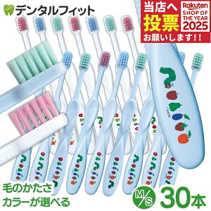 y43%OFFN[| 11/16 23:59zuV q CiLbY GbNJ[ ͂؂ނ zCg/u[ 30{yCifBJz ([1܂)y[֑Iőz