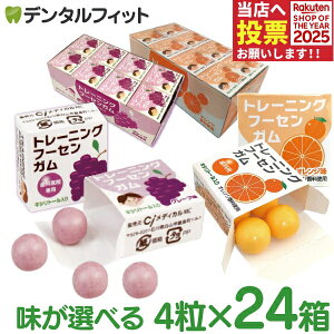 y|Cg5{ 11/1 0:00-23:59zLVg[K Ȑp Ȉ@pg[jO t[ZK(4×24) O[v/IW DK LVg[z Ԃǂ ݂