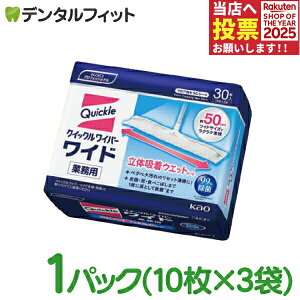 y|Cg5{ 11/1 0:00-23:59zԉ NCbNCp[ Ch ̋zEGbgV[g 1pbN(10×3) 芷p 芷V[g Ɩp ƒp V[g EFbg Ch t[O 