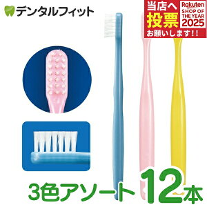 Ci Jr.iWjAjuV 12{ 3FA\[g Xwbh wZwN璆wy[֑Iőz