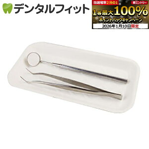 �y���G���g���[P5�{ 1/9 20:00-1/16 1:59�z���Y ���g���[(��) CT-2 No.2(��W195×D100×H15mm) 100��