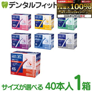 �y���G���g���[P5�{+�撅100�~OFF�N�[�|�� 6/4-6/11�z���ԃu���V ���C�I�� DENT.EX �e�T�C�Y4S�`LL 40�{��/1�� �@���p �w���p � �yLION�z�y���������z