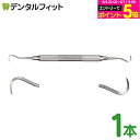 去煙垢用品｜両頭シックルスケーラー H6-H7（メール便…