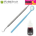 去煙垢用品｜ヤニ取り＆歯石取り＆歯垢取りホームケア3点セット《スケーラー H5-33 1点・検診専用ミラー1点・Ciプラー…