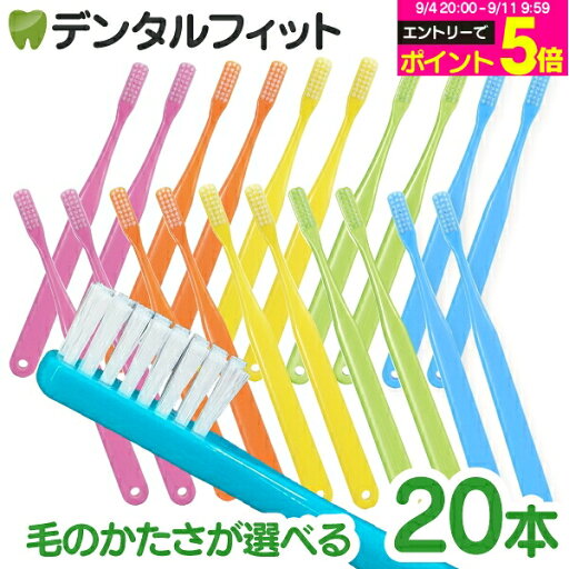 Ciベーシック 20支套組