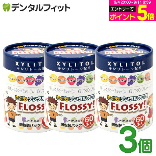 FLOSSY 3個套組 60支×3