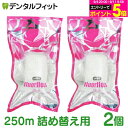 牙線｜オーラルケア フロアフロス 250m 詰め替え用 (2個)〖fluorfloss〗 〖送料…