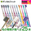 牙刷｜Ci PROADシリーズ 25本セット【 ジュエル / ラウンド毛 / 超先細毛＋フラット毛 / 銀イオン抗菌毛Ag+】※…