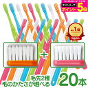 牙刷｜歯科専売 歯ブラシ Ci700シリーズ 合計20本セット (超先細毛 10本＋ラウンド毛 10本) 〖メール便選択で送…