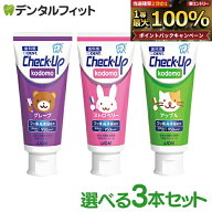 歯磨き粉 子供 チェックアップ kodomo フッ素950ppmF 3本セット(60g/本) ／ ストロベリー アップル グレ…