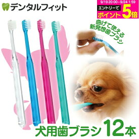 【★40%ポイントバック 9/24 9:59 迄】犬用 歯ブラシ / Ci シュワワ / 4色アソート/12本セット【Ciメディカル 歯ブラシ】 (メール便2点まで)【メール便選択で送料無料】