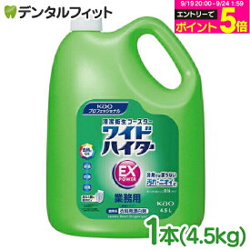 花王 ワイドハイター EXパワー 1本(4.5L)【Kao 漂白剤 業務用 花王プロフェッショナル 除菌 消臭 抗菌 防カビ 液体タイプ 】
