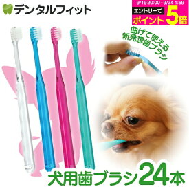 【★エントリーでポイント5倍 9/19 20:00-9/24 1:59迄】犬用 歯ブラシ / Ci シュワワ / 4色アソート/24本セット【Ciメディカル 歯ブラシ】