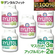 【★先着100円OFFクーポン＋エントリーP5倍 10/4 20:00-10/9 1:59】オーラルケア キシリトールガム 歯科…