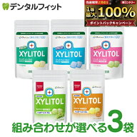 キシリトールガム 歯科専用 オーラルケア パウチタイプ 3袋セット(35g・21粒入/1袋) (アップルミント/マ…