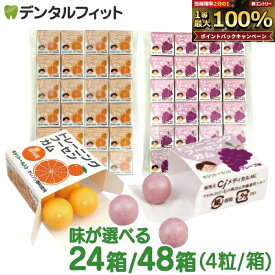 【★先着100円OFFクーポン＋エントリーP5倍 10/4 20:00-10/9 1:59】キシリトールガム 歯科専用 トレーニング フーセンガム 24箱/48箱(4粒/箱) グレープ味/オレンジ味 風船ガム キシリトール配合 ぶどう風味 【メール便選択で送料無料】