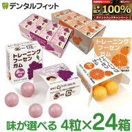 【★先着100円OFFクーポン＋エントリーP5倍 10/4 20:00-10/9 1:59】キシリトールガム 歯科専用 歯科医院…